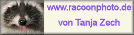 Racoonphoto.de